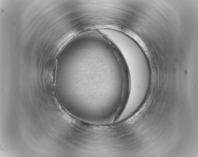 X0000088610809200706221429