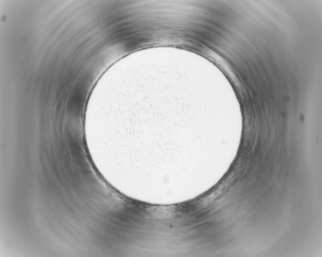 X0000088610810200706221429