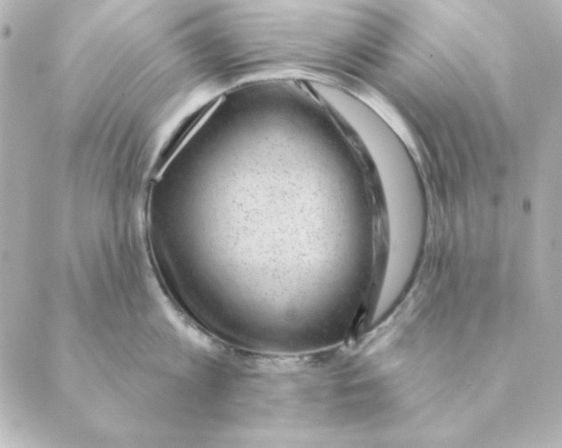 X0000088610813200706221429