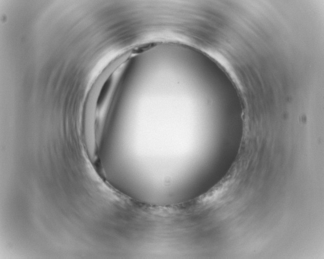 X0000088610815200706221429