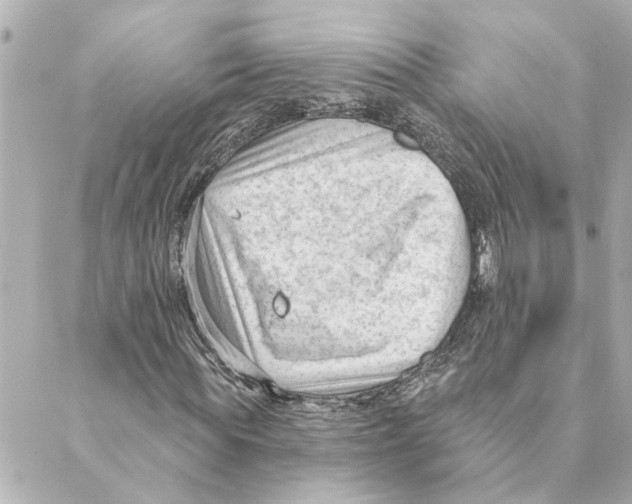 X0000088610819200706221428