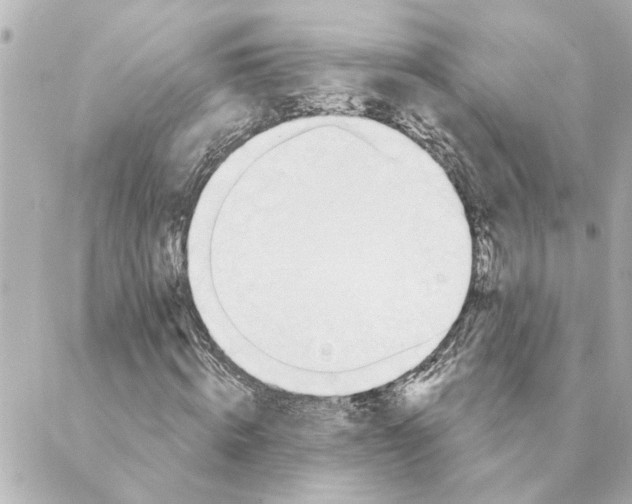 X0000088610820200706221428