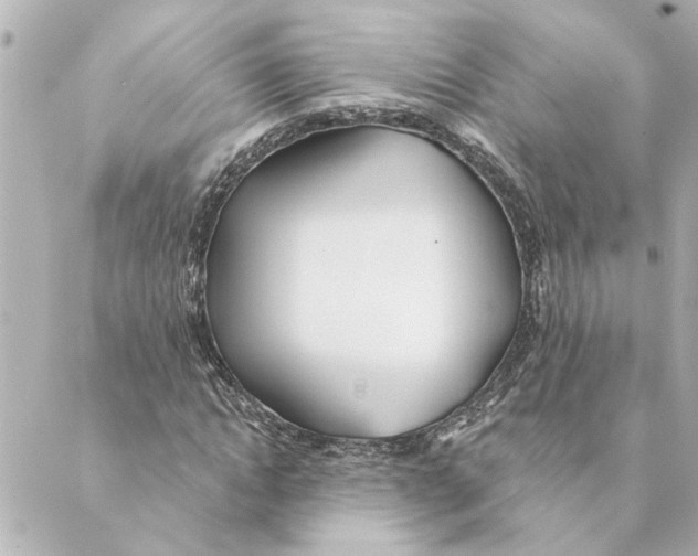 X0000088610822200706221428