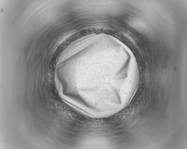 X0000088610823200706221428