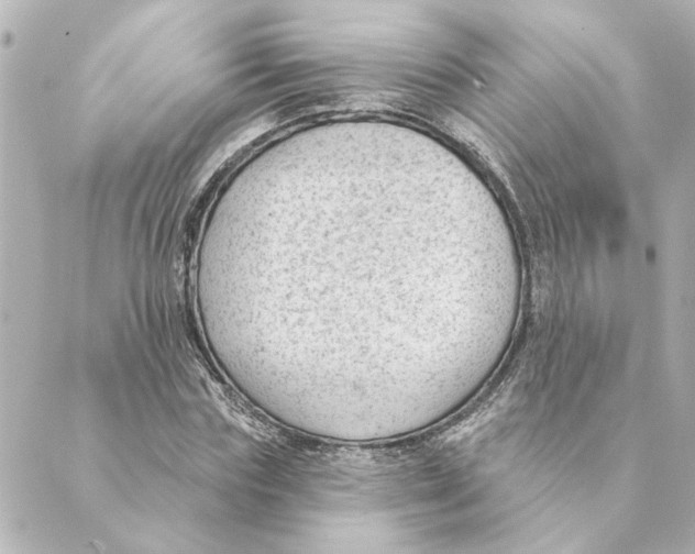 X0000088610827200706221428