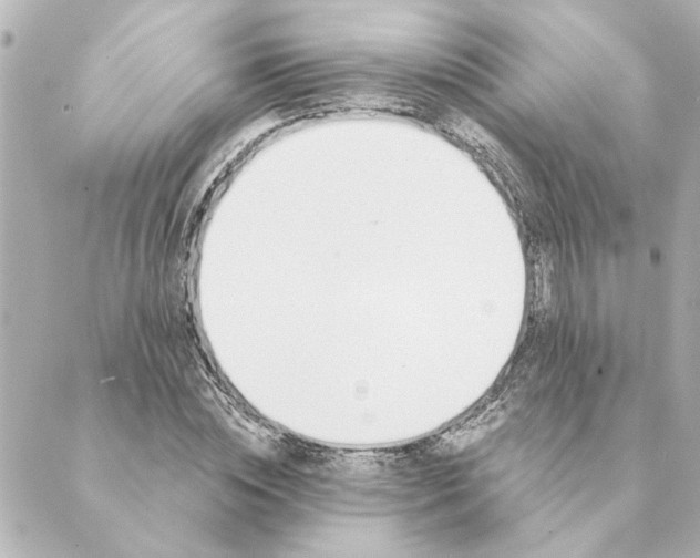 X0000088610828200706221428