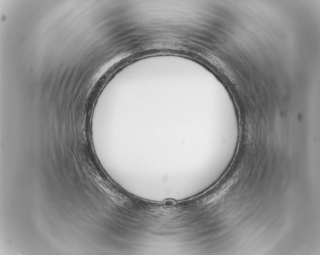 X0000088610830200706221428