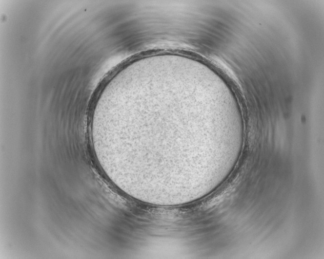 X0000088610831200706221428