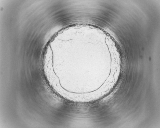 X0000088610832200706221428