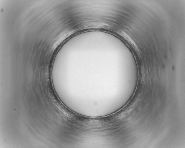 X0000088610834200706221428