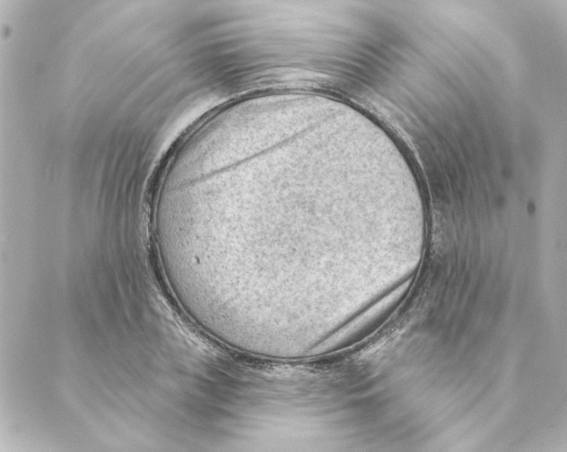 X0000088610835200706221428