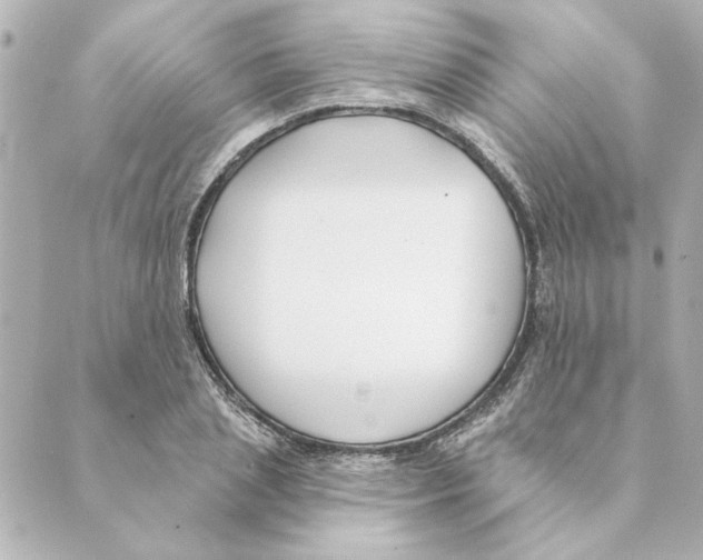 X0000088610837200706221428