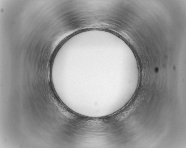 X0000088610838200706221428