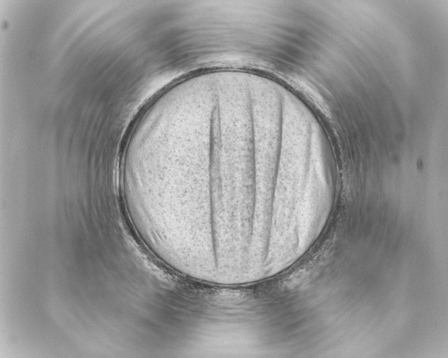 X0000088610839200706221428