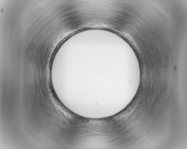 X0000088610840200706221428