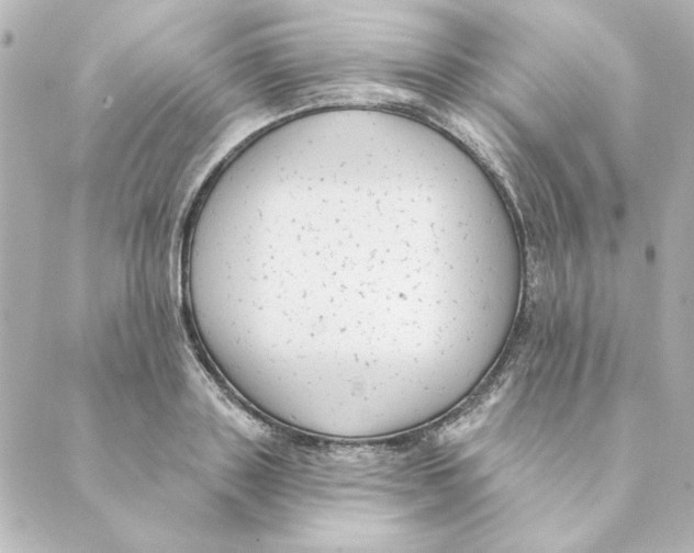 X0000088610843200706221429