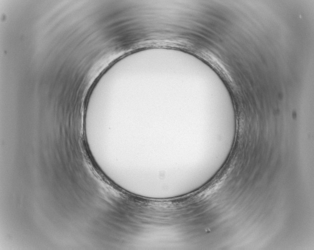 X0000088610844200706221429