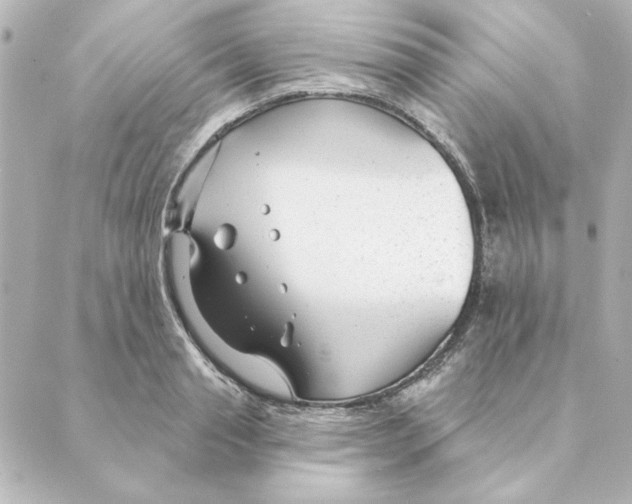 X0000088610845200706221429