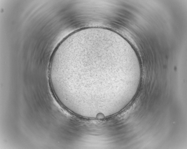 X0000088610847200706221429