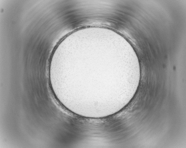 X0000088610848200706221429