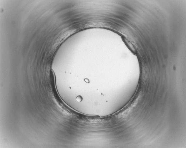 X0000088610849200706221429