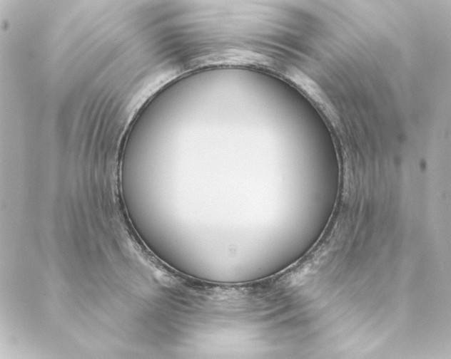 X0000088610850200706221429