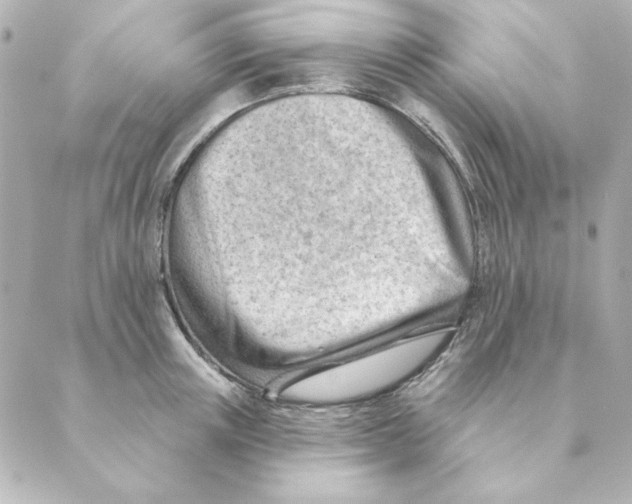 X0000088610851200706221429