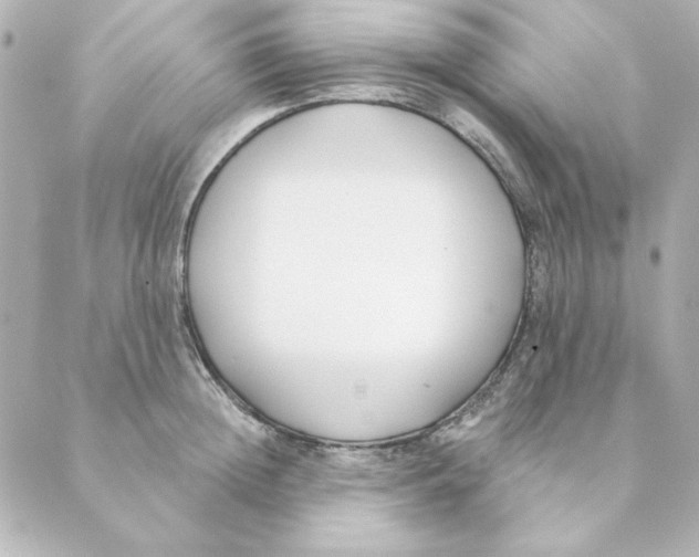 X0000088610852200706221429