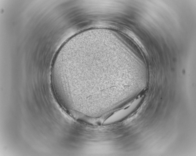 X0000088610853200706221429