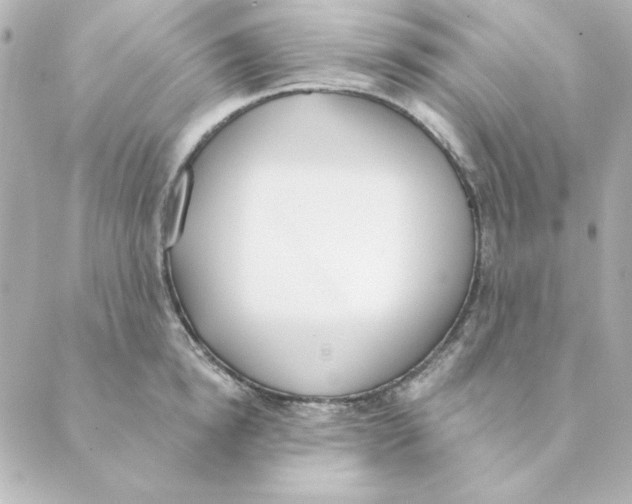 X0000088610854200706221429