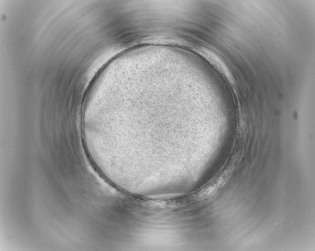 X0000088610855200706221429