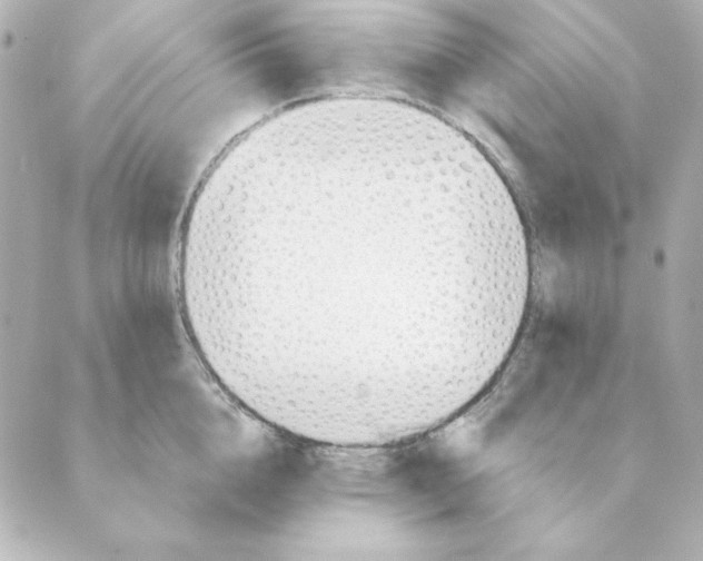 X0000088610856200706221429