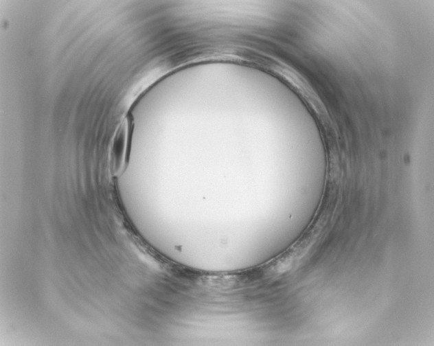 X0000088610858200706221429