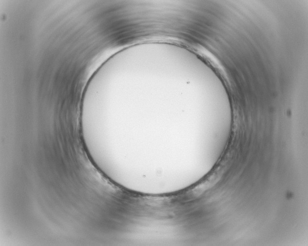 X0000088610860200706221429