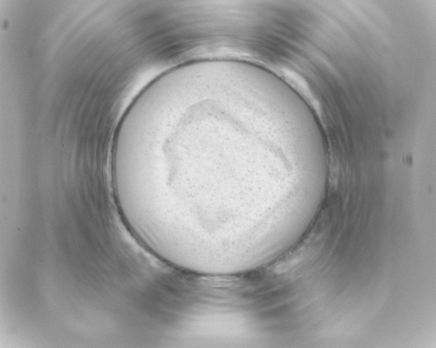 X0000088610863200706221429