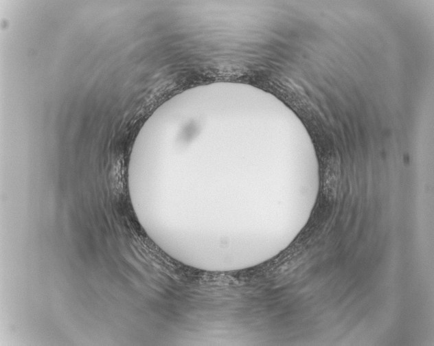 X0000088610866200706221428