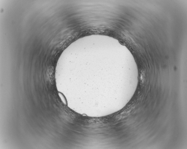 X0000088610867200706221428