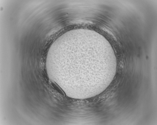 X0000088610869200706221428