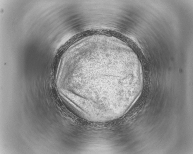 X0000088610871200706221428