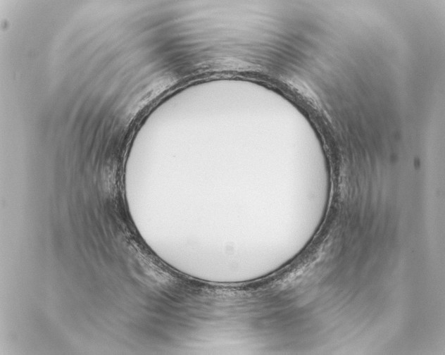 X0000088610873200706221428