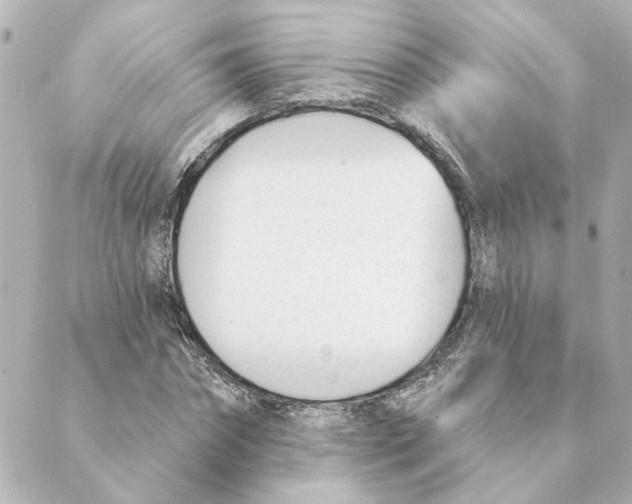 X0000088610874200706221428