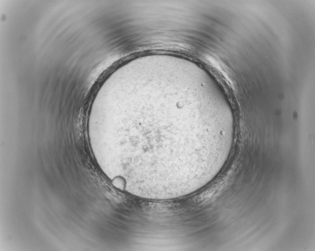 X0000088610875200706221428