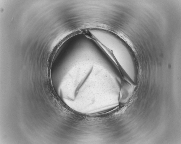 X0000088610877200706221428