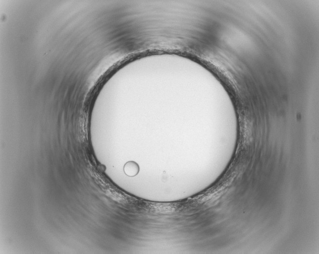 X0000088610878200706221428