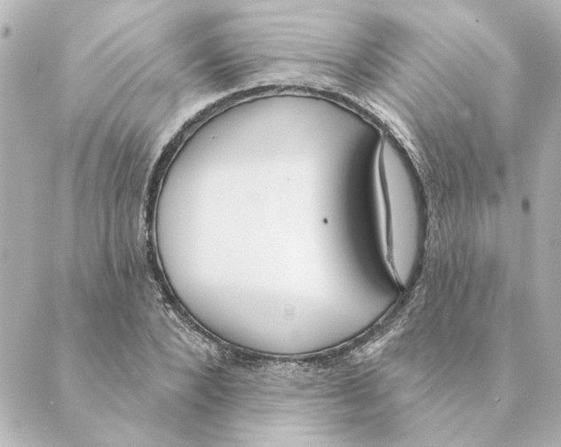 X0000088610880200706221428