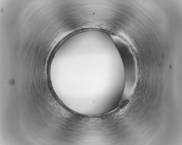 X0000088610884200706221428