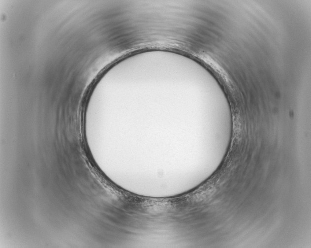 X0000088610886200706221428