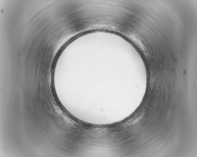 X0000088610888200706221428