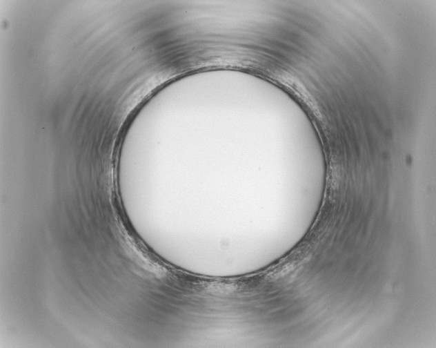 X0000088610890200706221428