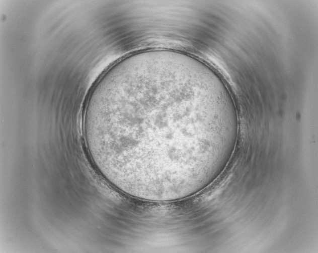 X0000088610891200706221428